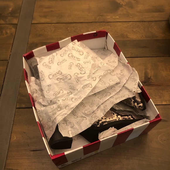 Circus by Sam Elderman Snakeskin Boots - Picture 5 of 10